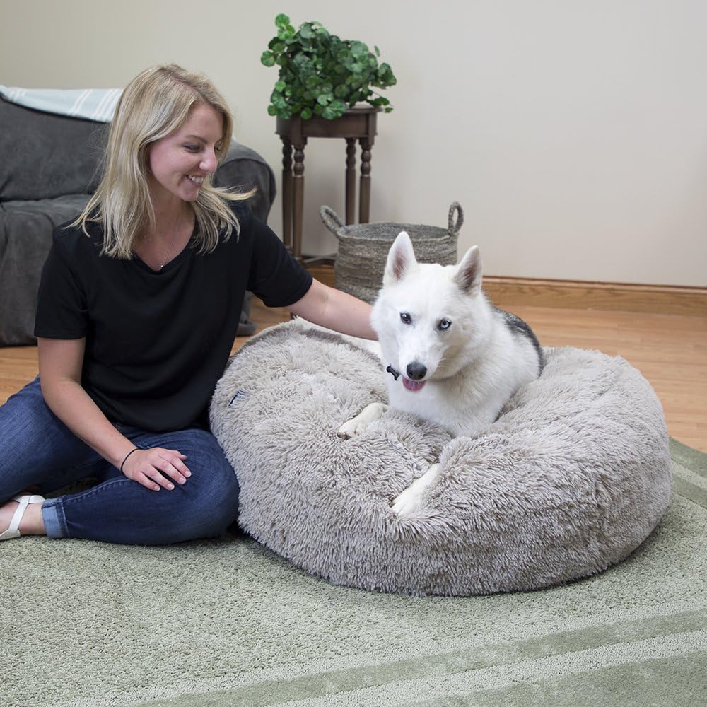 SportPet Designs Large Luxury Waterproof Pet Bed - Machine Washable Sofa Bed : Pet Supplies