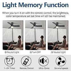 Dalouguan 31 inch Low Profile Ceiling Fans with