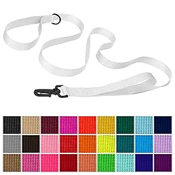Country Brook Petz - Deluxe Nylon Dog Leash with