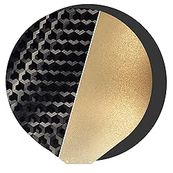 Upgraded Round 270mm in Dia Flsn T1 Pro Build Plate