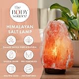 The Body Source Himalayan Salt Lamp 2-3kg with Dimmer Wooden Base view 2