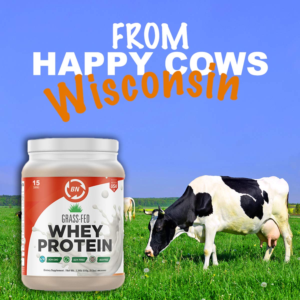 Grass Fed Whey Protein - 100% Pure, Natural & Raw – 24g High Protein - 1.34lb/16 Servings - Cold Processed Undenatured - Non-GMO - rBGH - High Quality Wisconsin USA (1.34lbs)