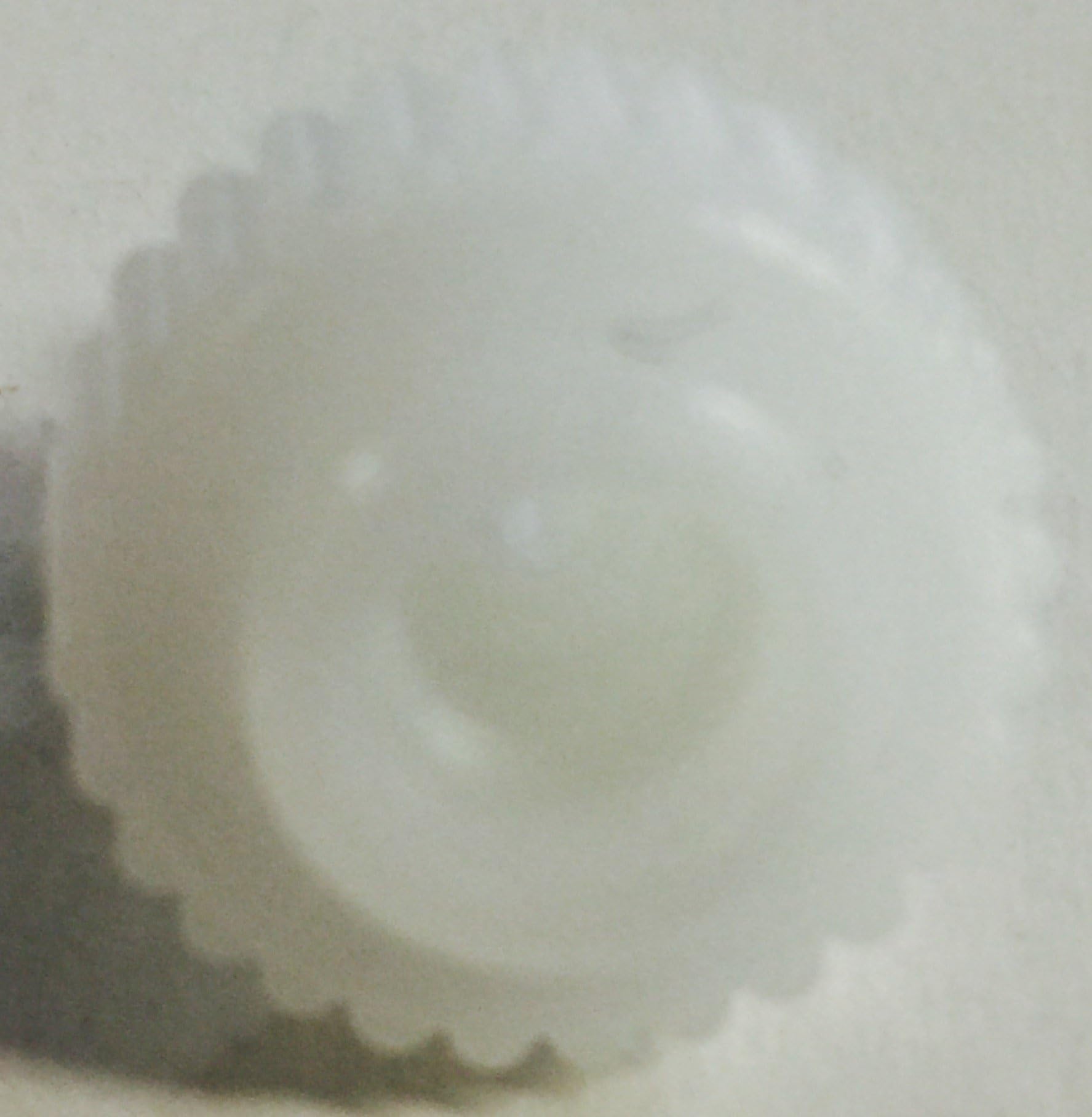Nozzle connector white for Whipping Cream Devices