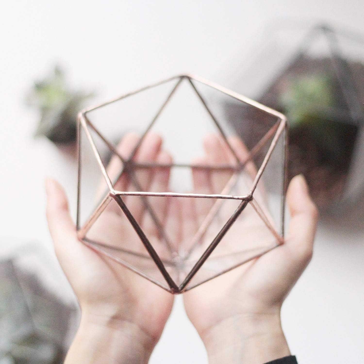 Clear Glass Geometric Terrarium Container for Succulent, Moss, Cactus | Modern Indoor Planter | Icosahedron | Valentines Day Gift | Gardening Gift | Geometric Home Decor (Copper, Silver, Black)