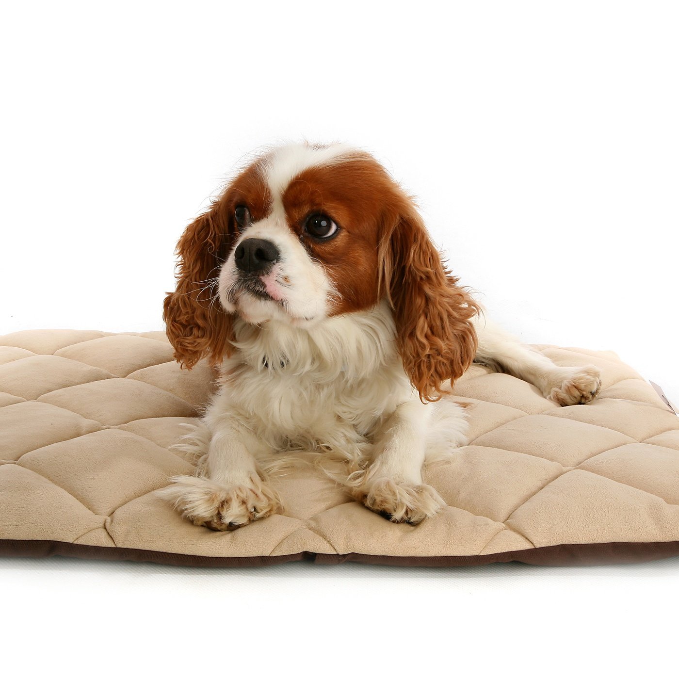 Petlife Flectabed Q Thermal Pet Bedding for Dog/ Cat, 37 x 28-inch, Cream