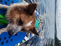 Review Image by Hayden