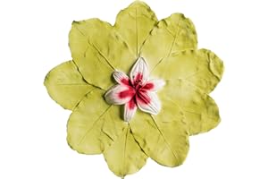 Earth Memorials Biodegradable Urn, Cremation Urn for Human Ashes, Water Burial at Sea, Ground or Sea Burial, Floats in the Wa