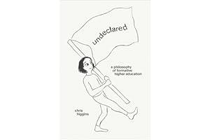 Undeclared: A Philosophy of Formative Higher Education