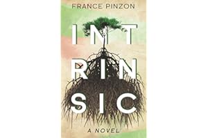 Intrinsic: A Novel
