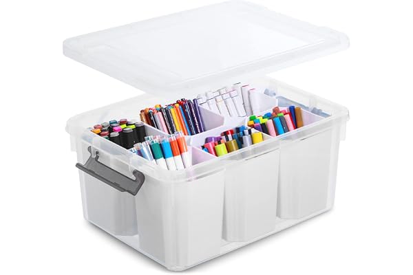 Citylife 16L Plastic Storage Bins with 6 Detachable Inserts Clear Storage Box with Lids Multipurpose Stackable Storage Contai