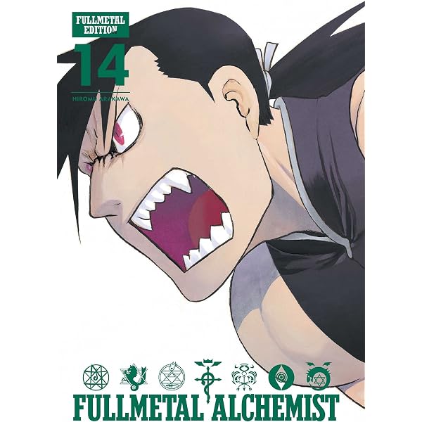Amazon.com: Fullmetal Alchemist, Vol. 20: 9781421530345: Arakawa