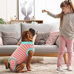 IDOMIK Dog Surgery Recovery Suit, Soft Comfortable