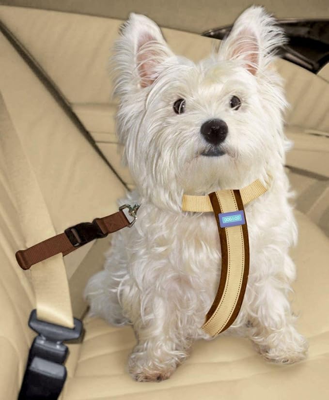 Dog & Co Dog Car Harness Small Amazon.co.uk Pet Supplies
