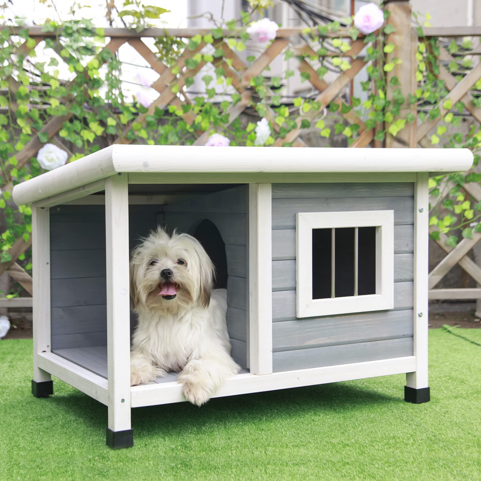 Petsfit Dog House, Wooden Dog Kennels for Outside with Steel Window, Outdoor Pet House with One Room and One Lounge, Asphalt Roof Dog Houses for Outdoor