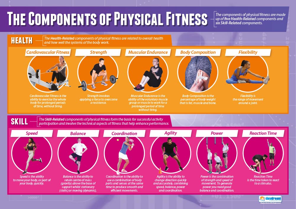 Daydream Education Components of Physical Fitness | PE Posters | Gloss Paper measuring 850mm x 594mm (A1) | Physical Education Charts for the Classroom | Education Charts