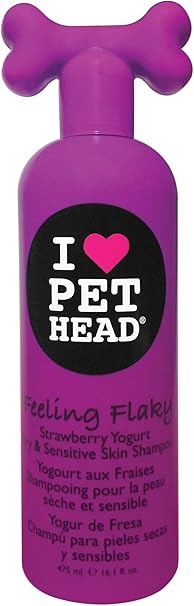 doberman loyal to one person