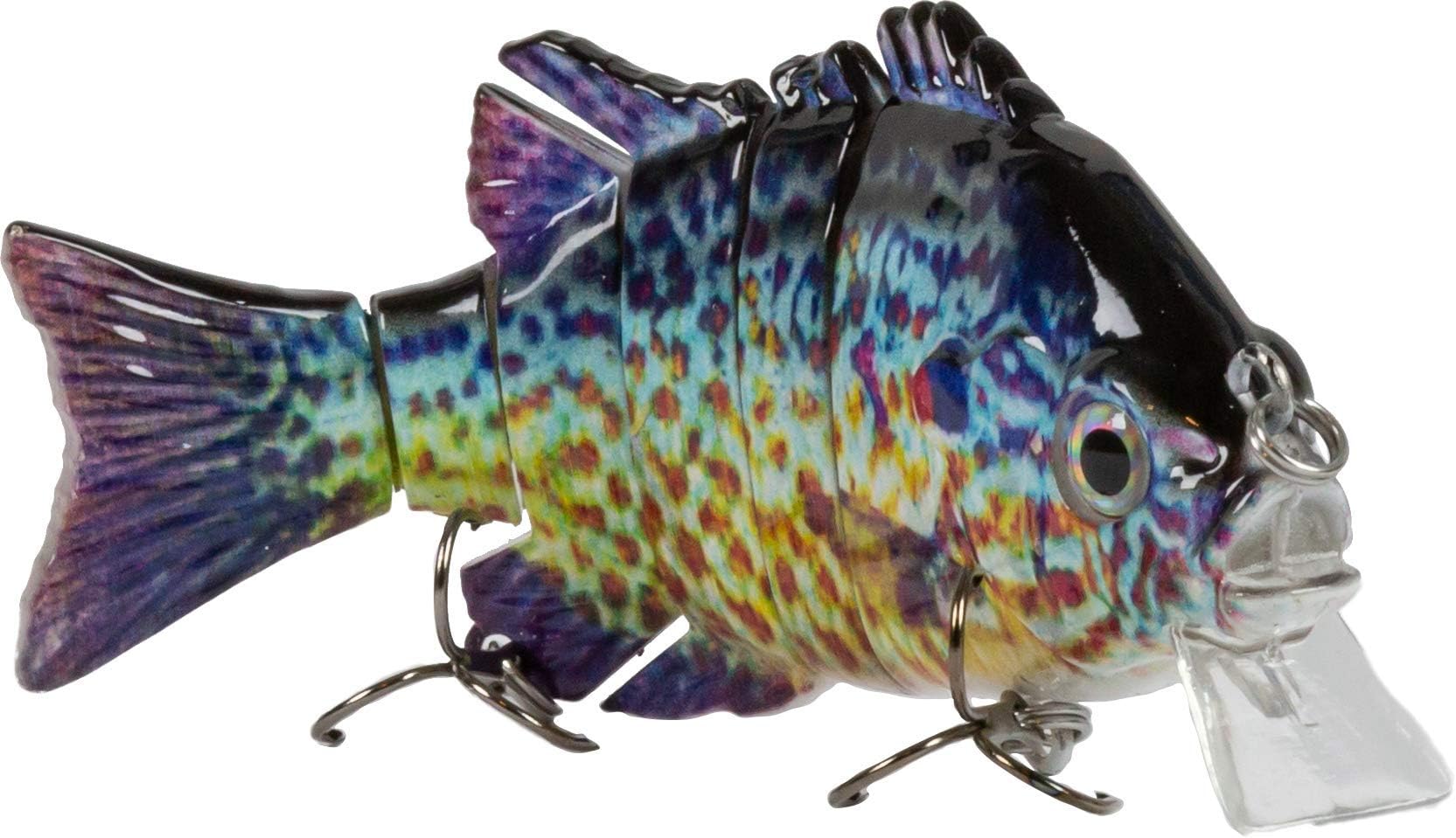 Bluegill- Blue