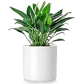 vancasso 8 Inch Ceramic Pot for Plants, Round Outdoor Indoor Planter Pots with Drainage Holes, White