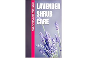 Lavender Shrub Care (Flowers)