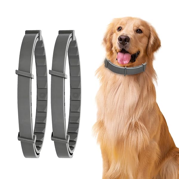 GENTLE OUTDOOR COMFORT COLLAR FOR DOGS LONG-LASTING SUPPORT...