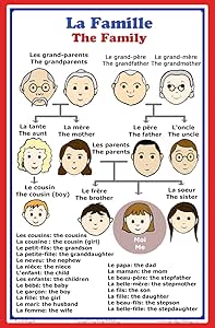 Cartel de la escuela de lengua francesa: palabras en francés sobre los