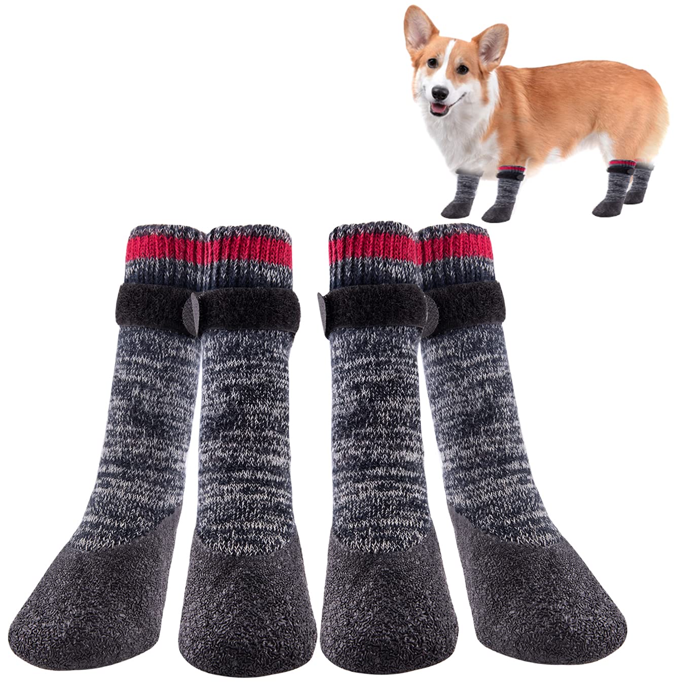 Can Dogs Wear Socks Outside
