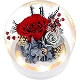Flowers, Roses Gift – Fresh & Preserved Roses That Last Forever – Delivery to Show Love – Ideal Birthday Gift for Women, Unique for Mother’s Day & Christmas – Long-Lasting Forever Flowers