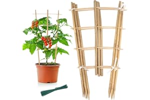 GAGINANG Garden Bamboo Trellis 16 Inch Fan Shaped Small Plant Trellis,Natural Wood Trellis for Climbing Plants Orchid Monstera Indoor Potted Plants-6 Pack