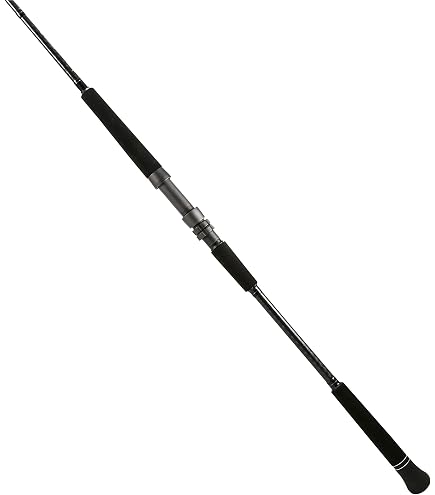 Amazon.com : Shimano TERAMAR WC C, Saltwater, Inshore, Spinning, 8'0", Medium, 1 pcs, (TERWCS80MC) Fishing : Sports & Outdoors Amazon.com : Shimano TERAMAR WC C, Saltwater, Inshore, Spinning, 8'0", Medium, 1 pcs, (TERWCS80MC) Fishing : Sports & Outdoors
