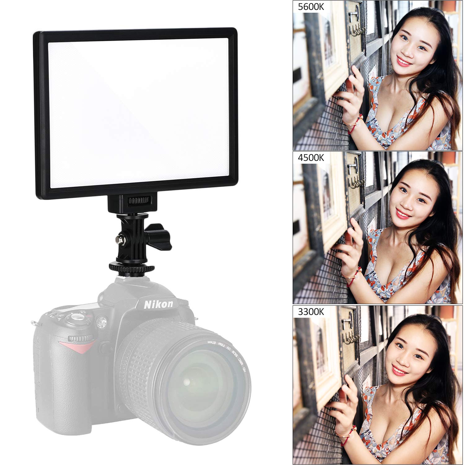 Best Continuous Lighting Kit Honeycomb