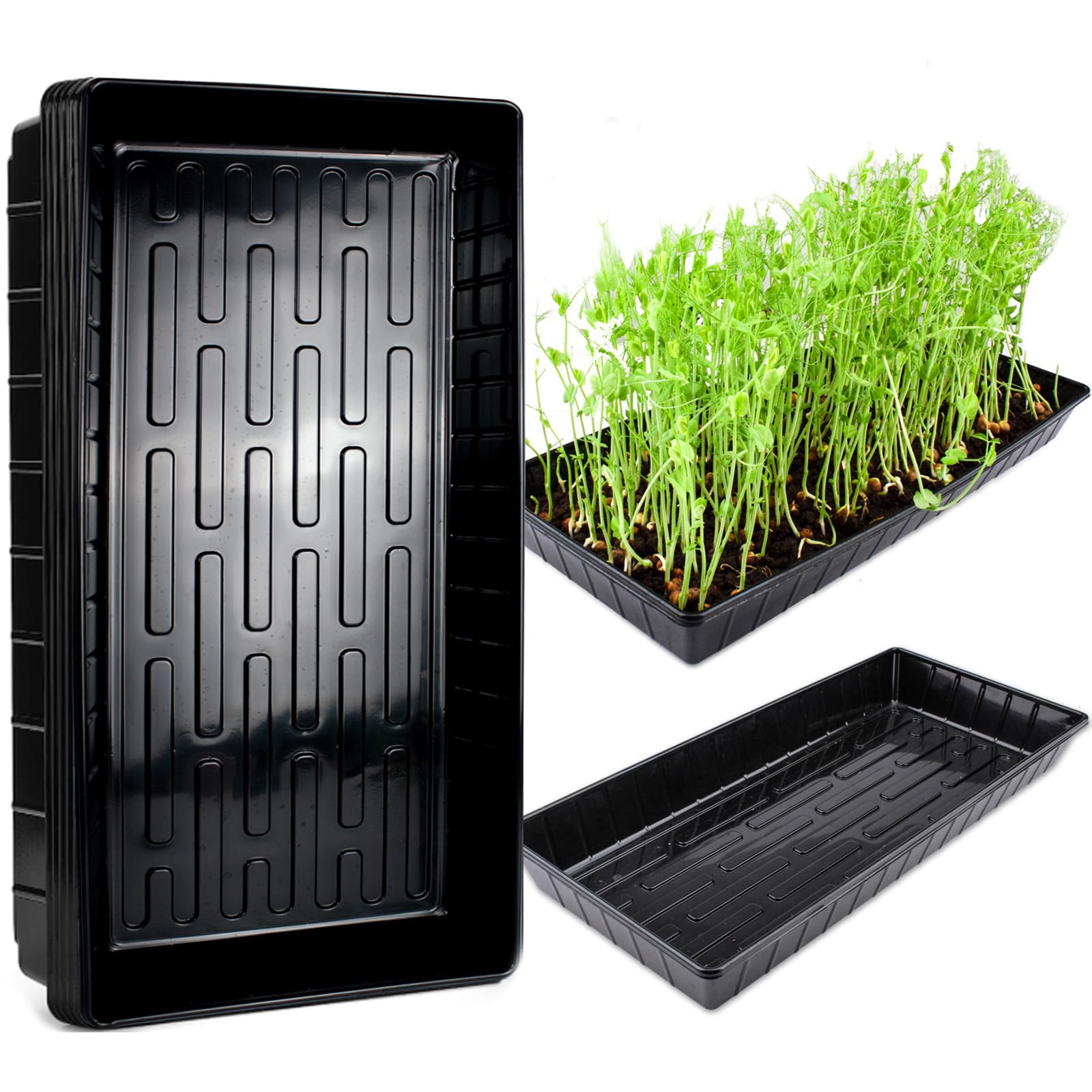 QTUN Seed Trays, 5 Pack Plastic Growing Trays without Holes, Plant Sprouter Propogation Tray, Microgreens Growing Trays, Planting Trays, Seedling Starter Trays for Greenhouse & Gardens