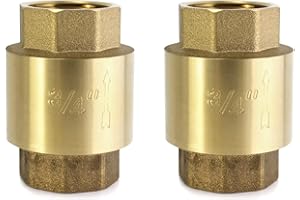 QWORK in-Line Check Valve Brass, 3/4" Female One Way Check Valves, 2 Pack