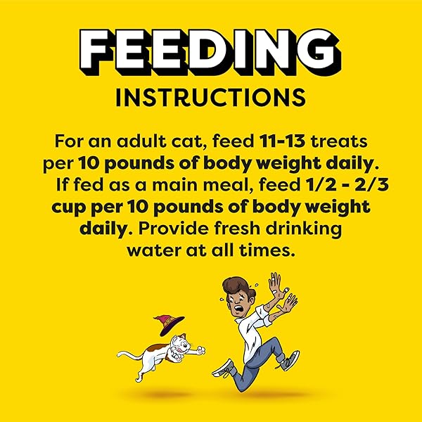 TEMPTATIONS MIXUPS CRUNCHY AND SOFT CAT TREATS TASTY HUMAN CHICKEN, LIVER, BEEF FLAVORS, 16 OZ. TUB