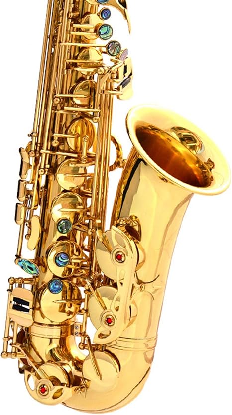 Amazon Co Jp テナーサックス アルトサックス ケースマウスピースストラップ潤滑剤などを運ぶ学生サックスとアルトサックスeフラットゴールドラッカー 管楽器 初心者入門セット Color Gold Size M ホーム キッチン