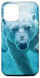 iPhone 12/12 Pro Polar Bear Case