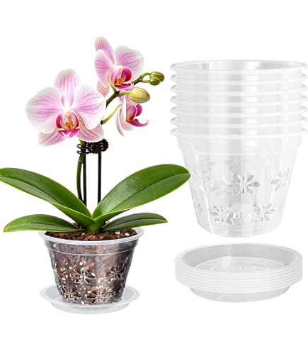 Amazon.com: POPETPOP 3pcs Breathable Perforated Orchid Pots