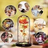 Touloube Galaxy Rose for Her Light Up Rose in Glass Dome Gift view 5
