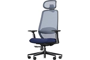 ProtoArc Ergonomic Office Chair with Lumbar Support – EC200 High-Back Mesh Computer Chair, 3D Adjustable Headrest & Sliding S