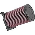 K&N Engine Air Filter: High Performance, Premium, Powersport Air Filter: Fits 2016-2019 YAMAHA (YFM700, Grizzly EPS, SE, Kodiak, EPS LE, FI Auto 4x4 EPS, FI Auto 4x4) YA-7016