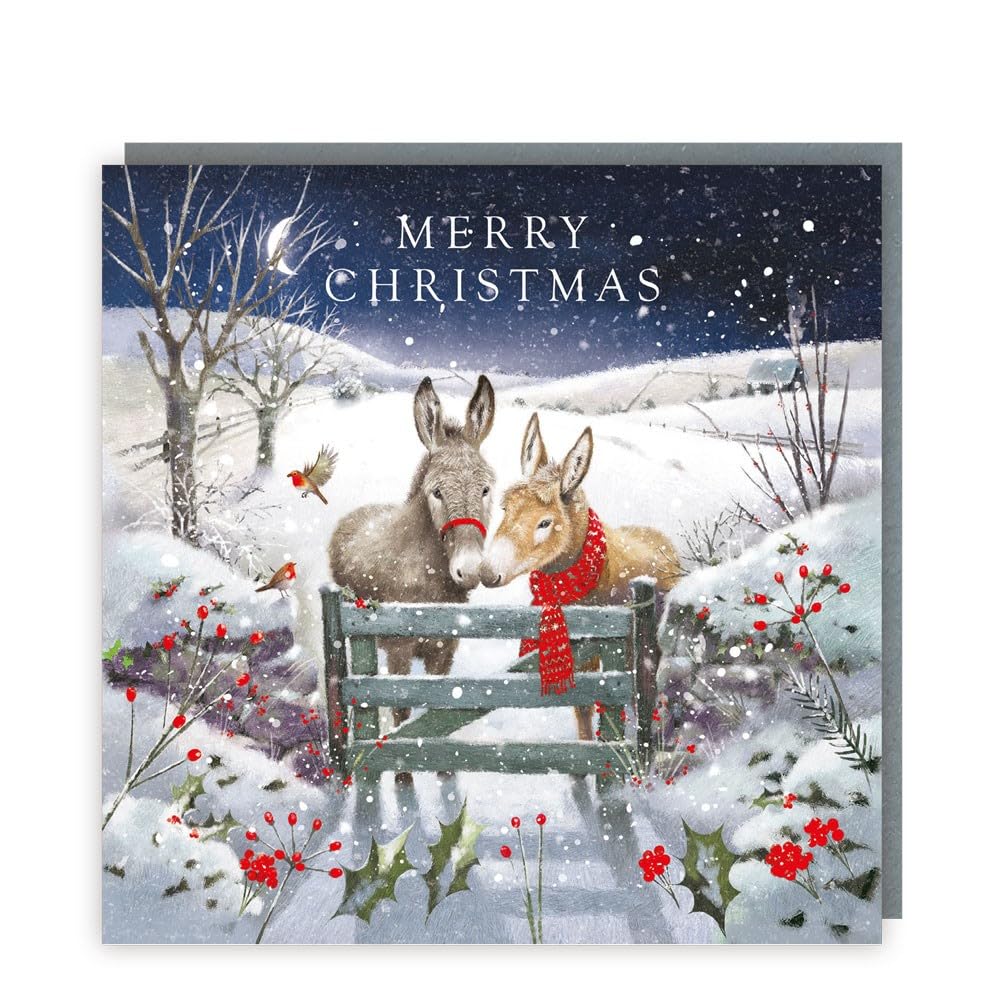 Tracks Publishing Charity Christmas Cards Pack of 5 - Charity Christmas Cards with Robins and Donkeys at Night Festive Design - Eco-Friendly Xmas Cards Multipack with Envelopes