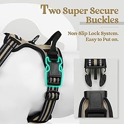 rabbitgoo Dog Harness No Pull with 2 Leash