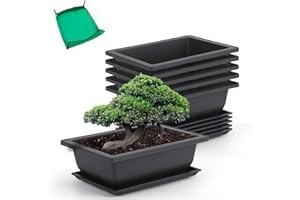 GROWNEER 6 Pack 9 Inch Bonsai Pots with Drainage Humidity Trays, Bonsai Tree Training Kits with 1 Repotting Mat, Rectangle Planter Plants Container Growing Pot for Garden Outside Indoor