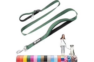 TSPRO Hands Free Dog Leash for Medium to Large Dogs, Adjustable Durable Leash with Comfortable Safety Padded Handle, Heavy Duty Metal Clasp for Walking, Running, Training (Green)