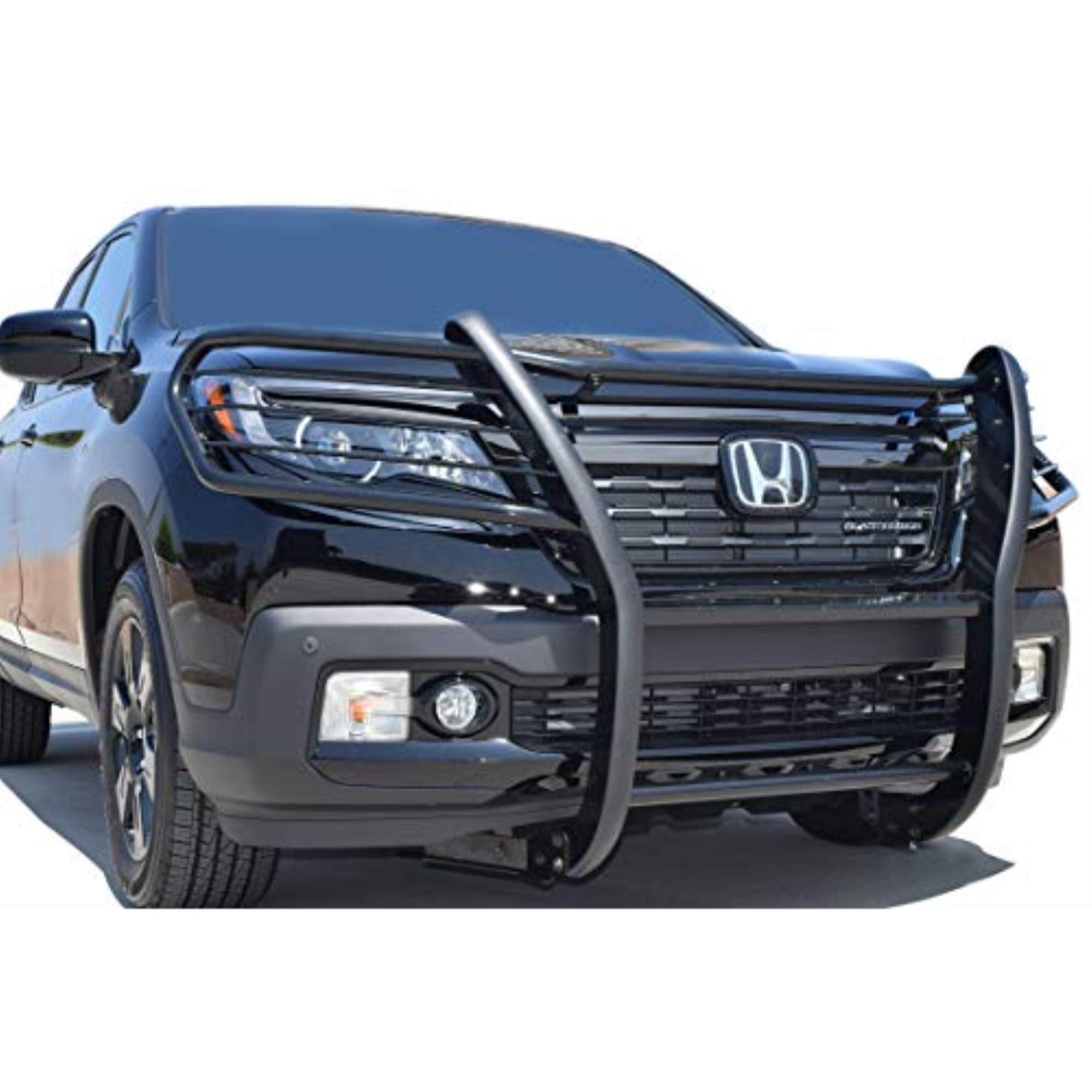 Black Horse Grille brush Bumper Guard Modular Black Compatible with ...