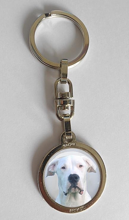 Machu Porte Clés Chien Dogue Argentin Chromée Alliant