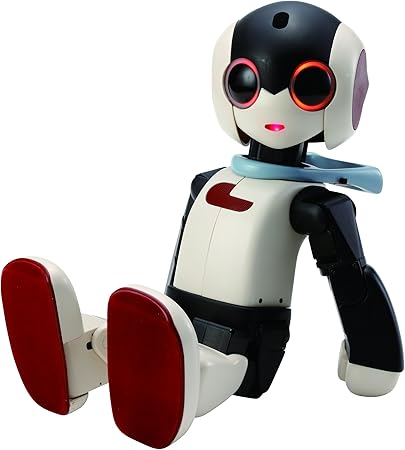 robi robot amazon