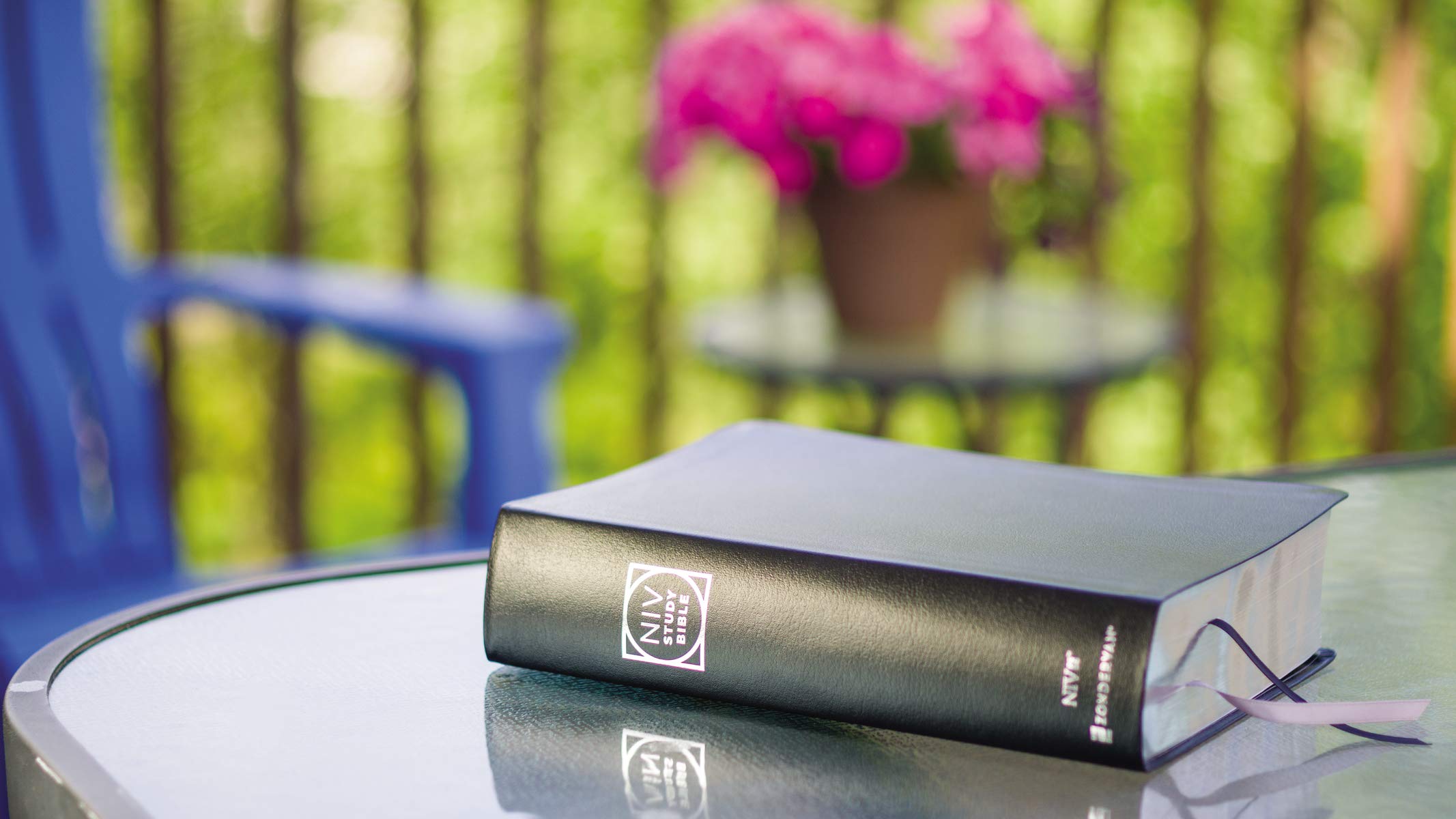 NIV Study Bible, Fully Revised Edition (Study Deeply. Believe Wholeheartedly.), Bonded Leather, Black, Red Letter, Comfort Print
