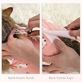 ANWA 2 Pack Cat Recovery Suit Breathable After Surgery Female Kitten Recovery view 4