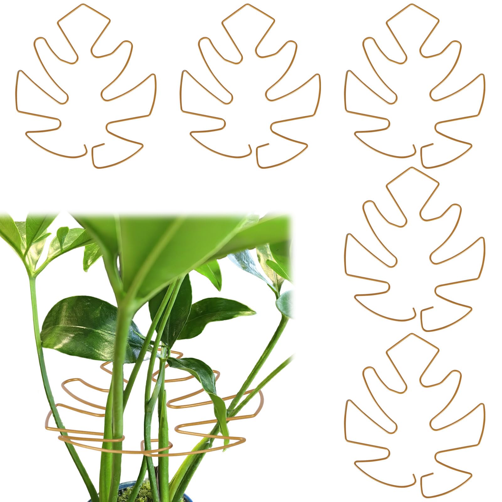 Fnaobai 5 PCS Plant Stem Holder Support Turtle Shell Bamboo Clam Set for Climbing Plants Indoor Monstera Leaf Plant Support Accessories for Outdoor Gardens Keeps Plants Thriving Growth (Gold)
