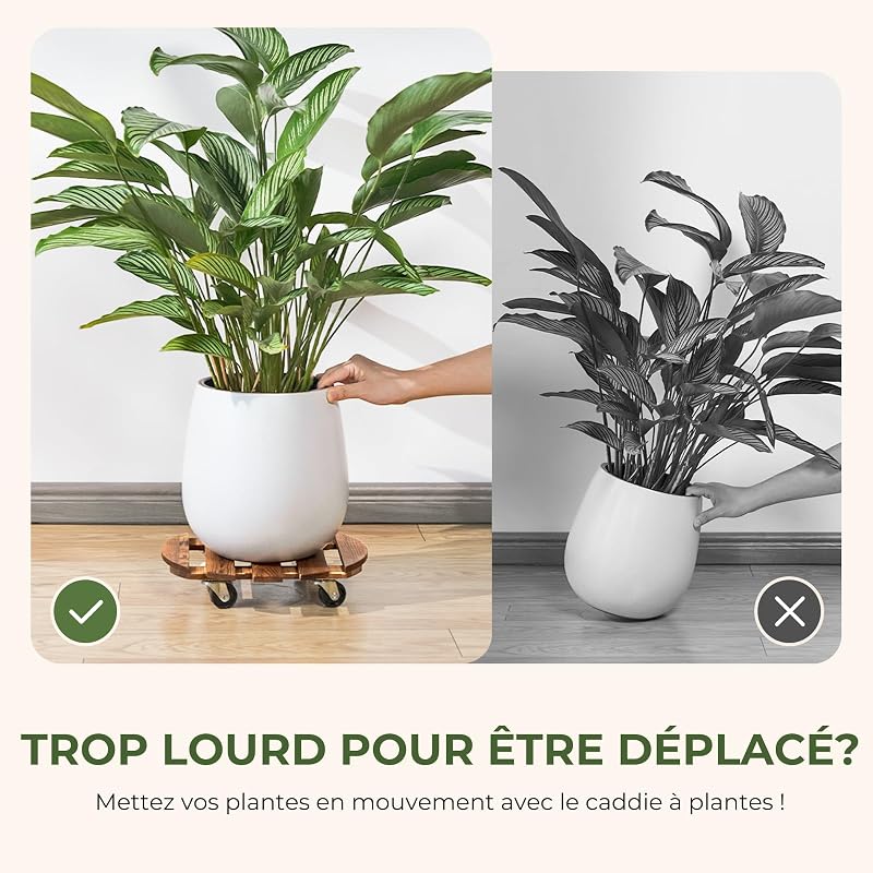 Porte Plante a Roulettes, Support Plante Interieur avec Roulettes, Lot de 2 Supports Plantes Interieur 30,5 cm, Capacite 100 KG pour Interieur Exterieur, Marron Fonce